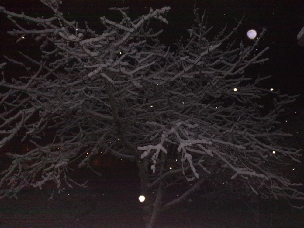2009-12-16 Snow02