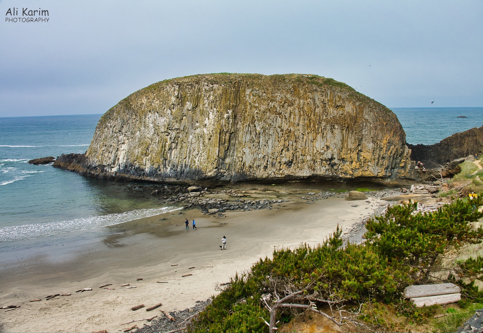 An example of a State Park; the rock has seagulls and bird roosting and nesting here, and so is protected Oregon Coast Hwy 101 An example of a State Park; the rock has seagulls and bird roosting and nesting here, and so is protected
