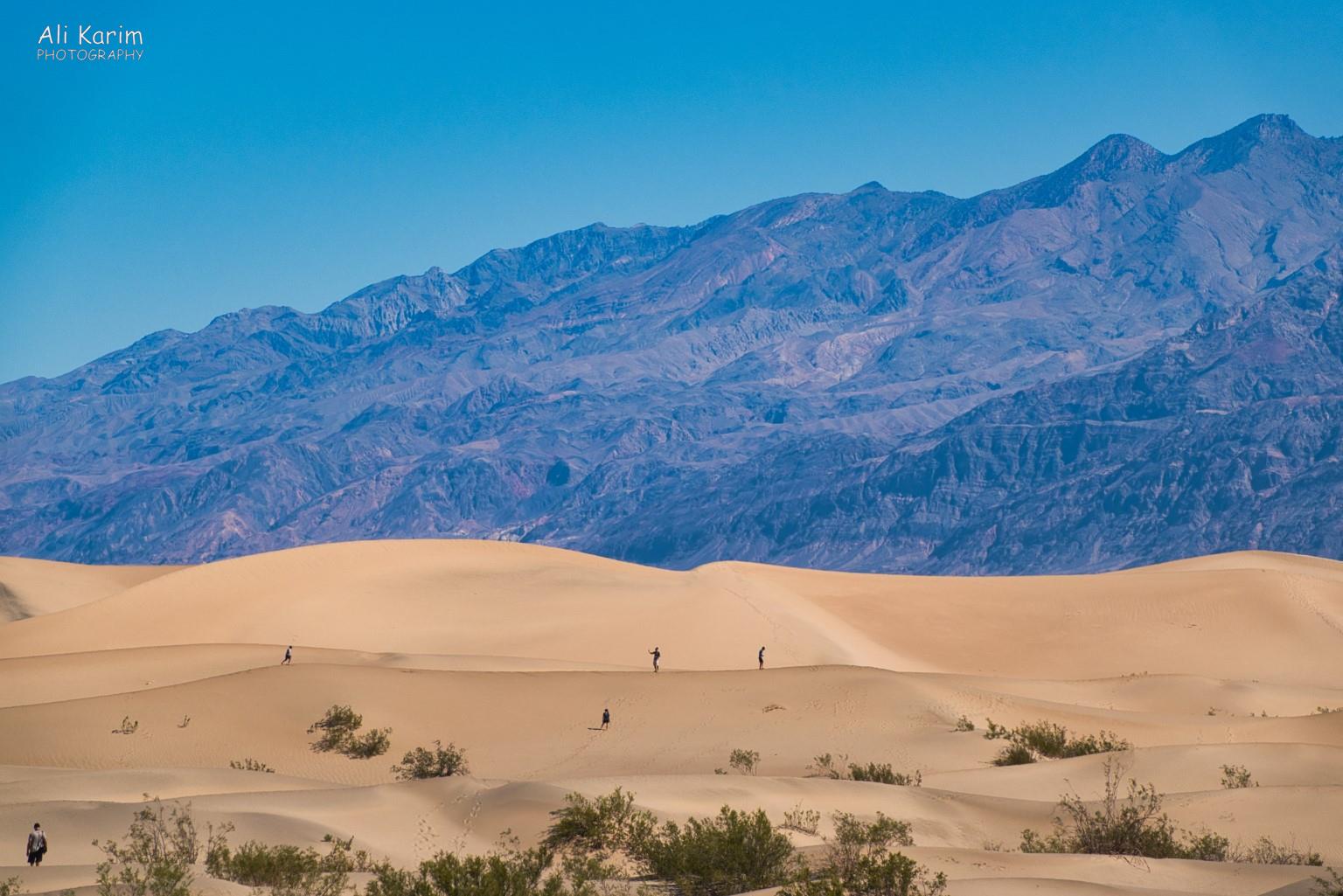 We hiked on the sand dunes before it got too hot Death Valley National Park, June 2020, We hiked on the sand dunes before it got too hot