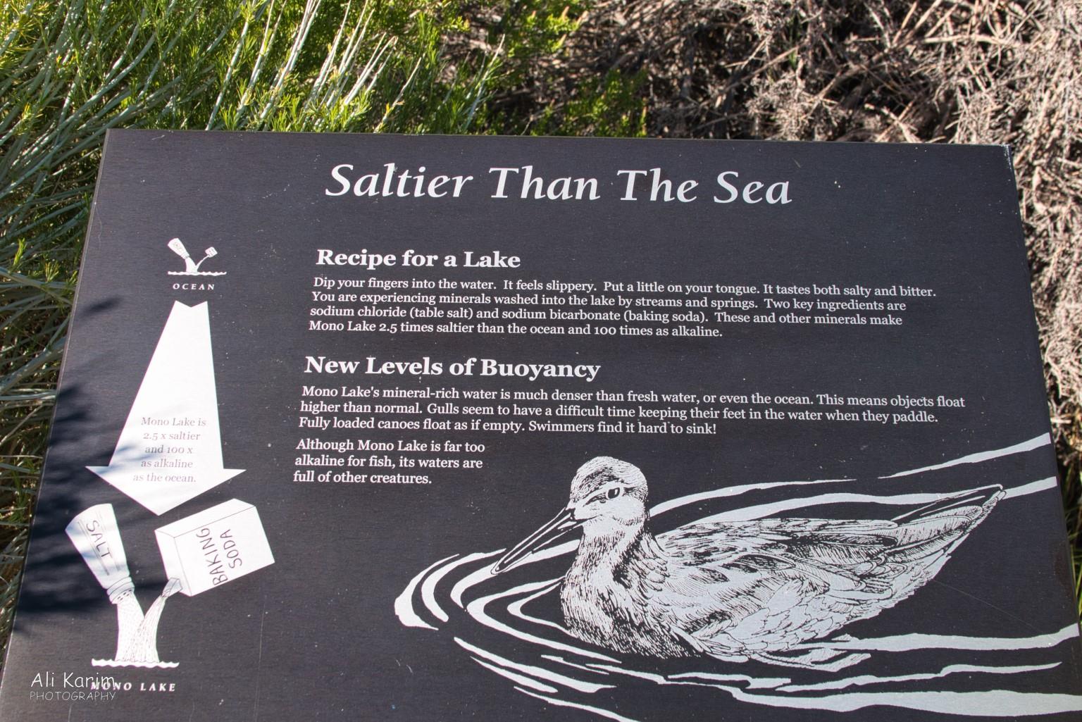 Saltier than the sea Yosemite to Death Valley, June 2020, Saltier than the sea