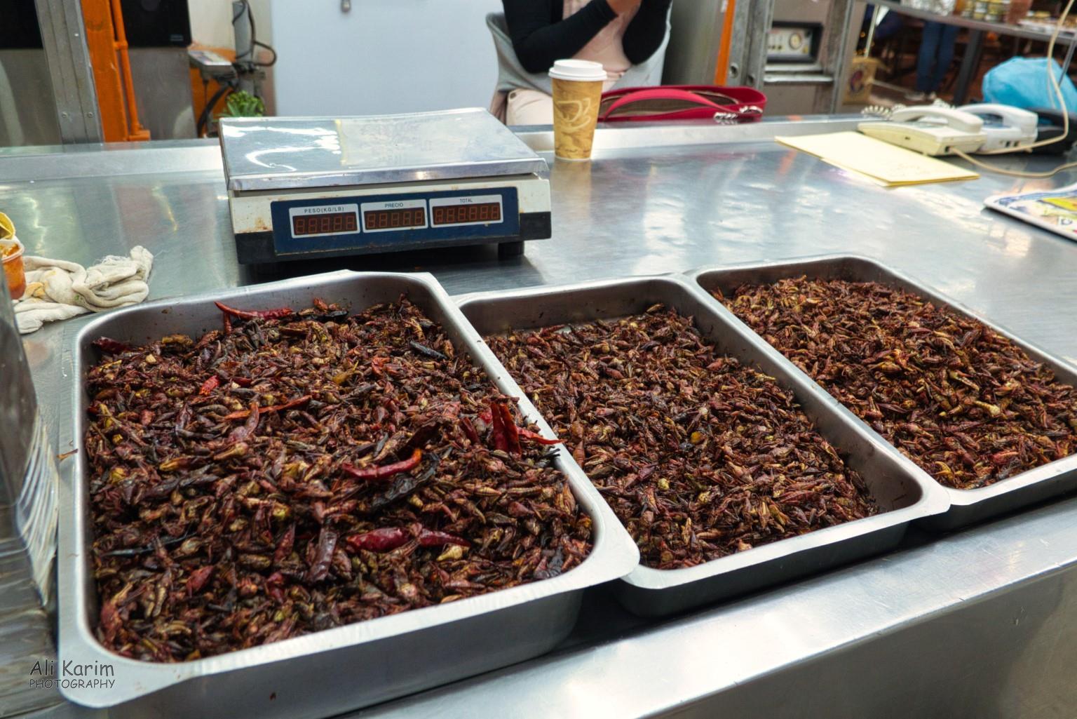 Mexico City, Mexico, Dec 2019, More fried insects