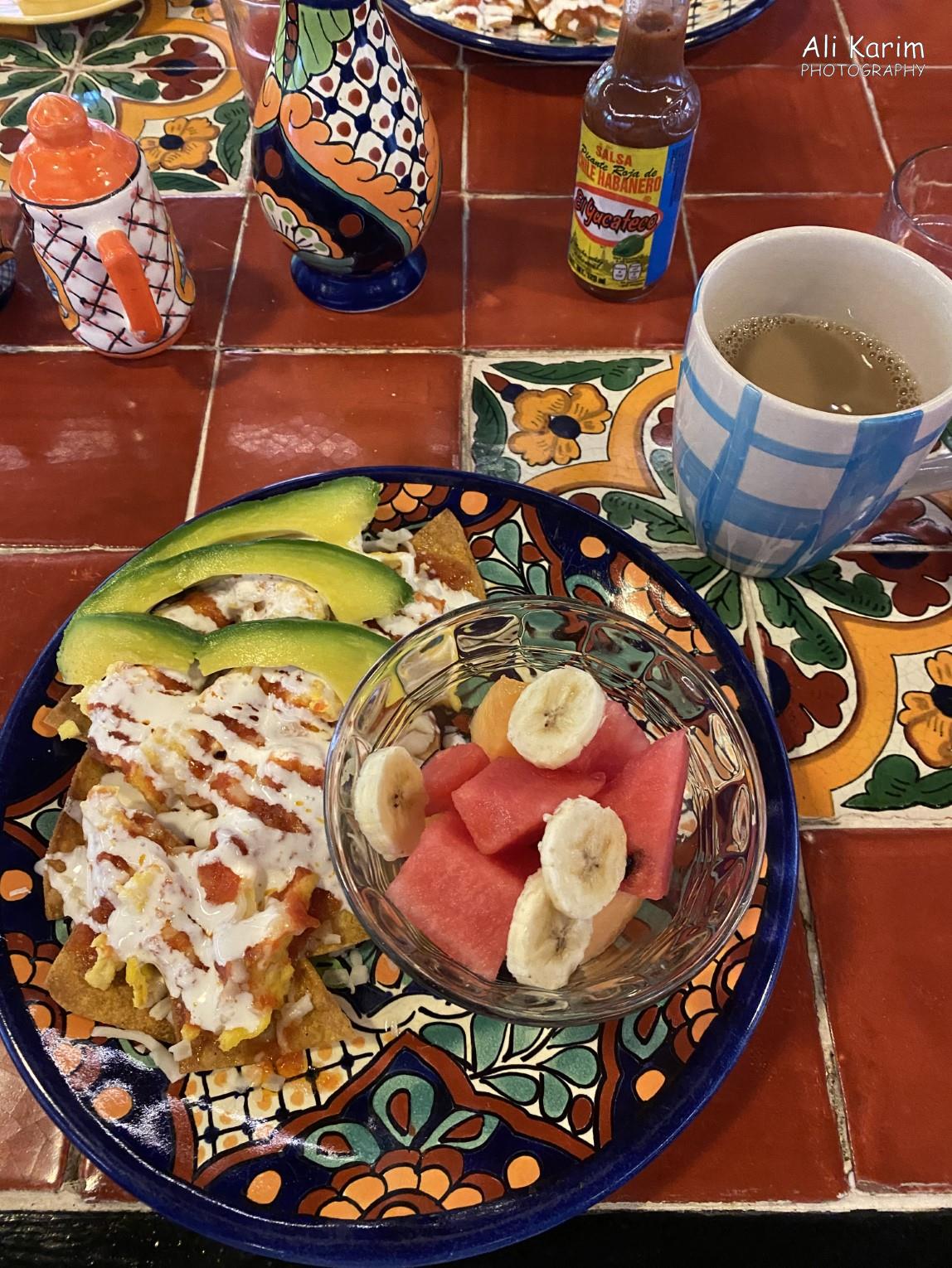 Chilaquiles breakfast Mérida & Campeche, Yucatan Peninsula, Mexico, Feb 2021, Chilaquiles breakfast