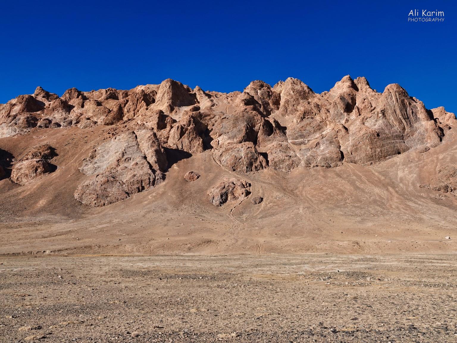 High altitude, but no snow in this desert More Murghab & Alichur, Tajikistan, High altitude, but no snow in this desert
