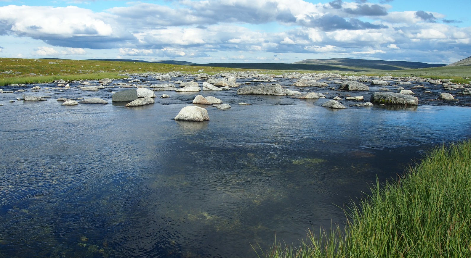 Kahperusjohkan niva.