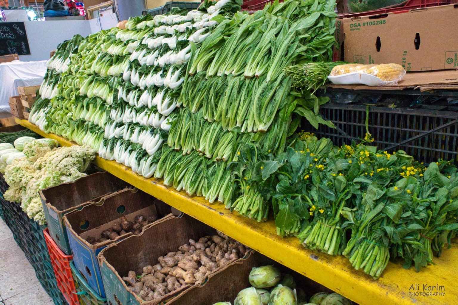 Lots of greens Mexico City, Mexico, Dec 2019, Lots of greens