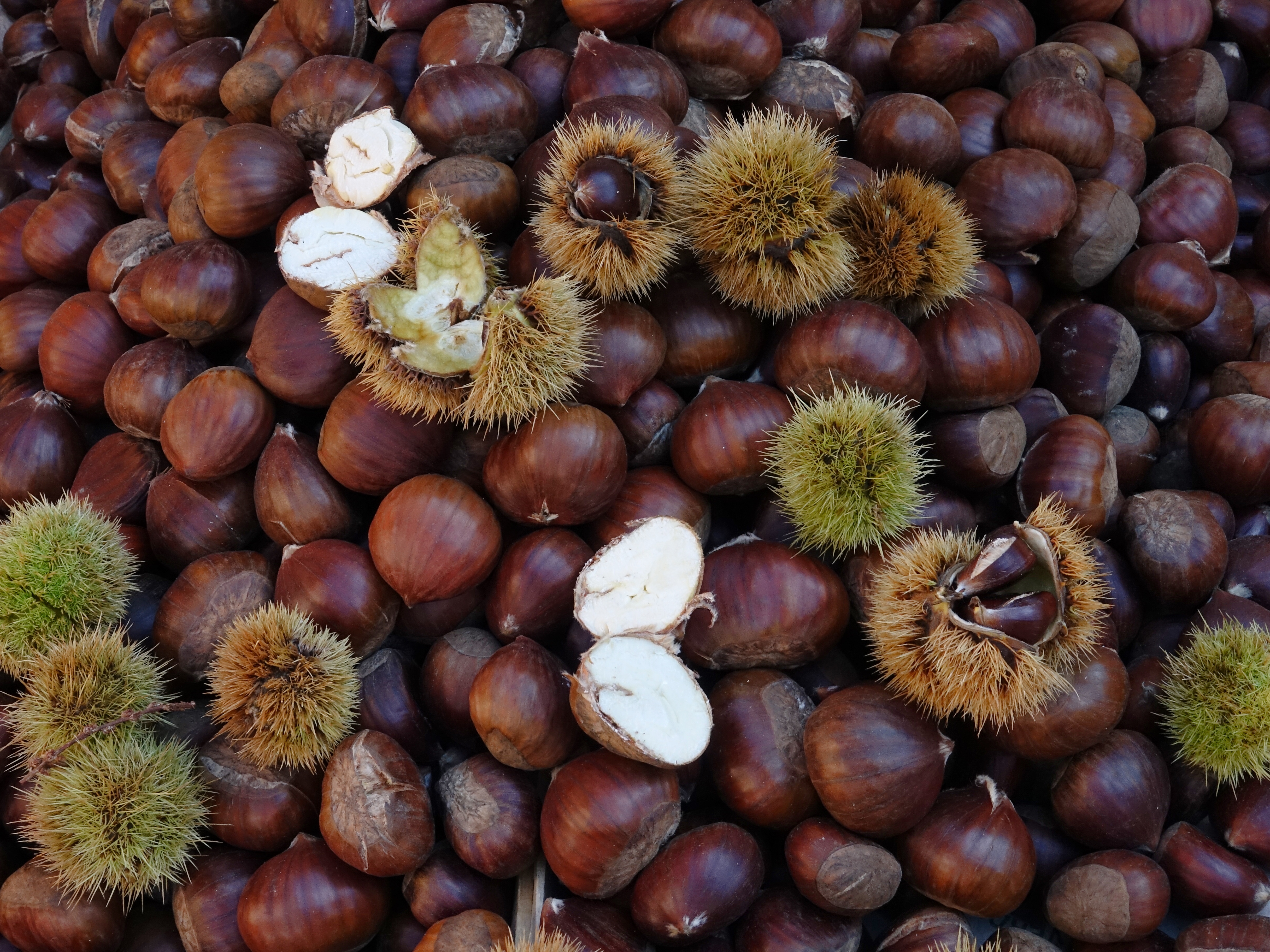 Delicious chestnuts, we ate these daily at the roasting stands which came alive every evening Delicious chestnuts, we ate these daily at the roasting stands which came alive every evening
