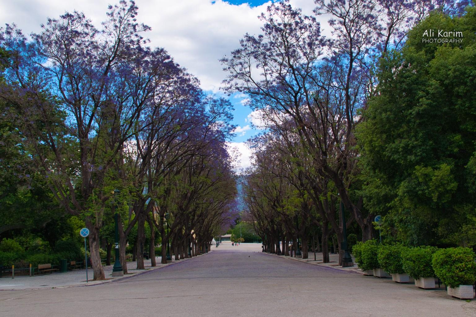 Entrance to the National Botanical Gardens behind the Parliament buildings More Athens, Greece, May 2021, Entrance to the National Botanical Gardens behind the Parliament buildings