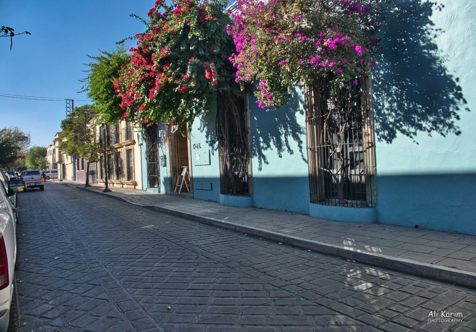 Clean streets and sidewalks, with colorful bougainvillea’s Oaxaca, Mexico Clean streets and sidewalks, with colorful bougainvillea’s