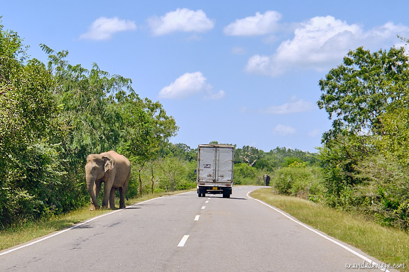 b35 road sri lanka