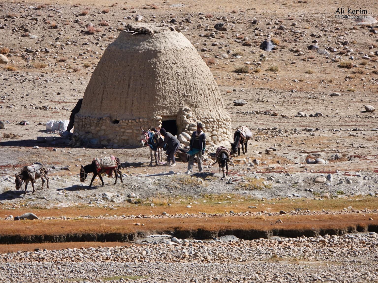And letting the pack animals eat and drink Langar, Tajikistan, And letting the pack animals eat and drink