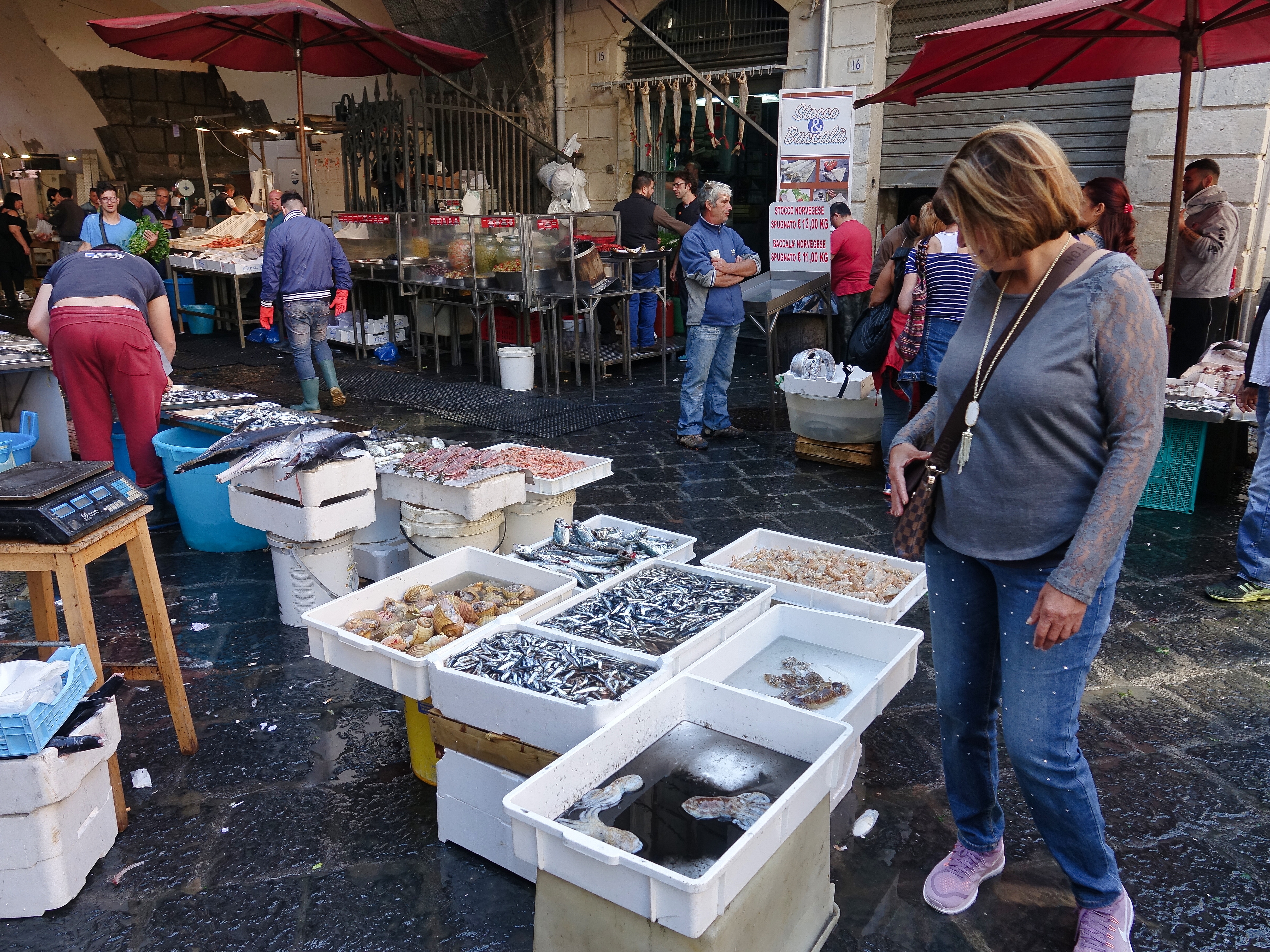 As were all kinds of prawns, cuttlefish, squid, octopus, snails etc As were all kinds of prawns, cuttlefish, squid, octopus, snails etc