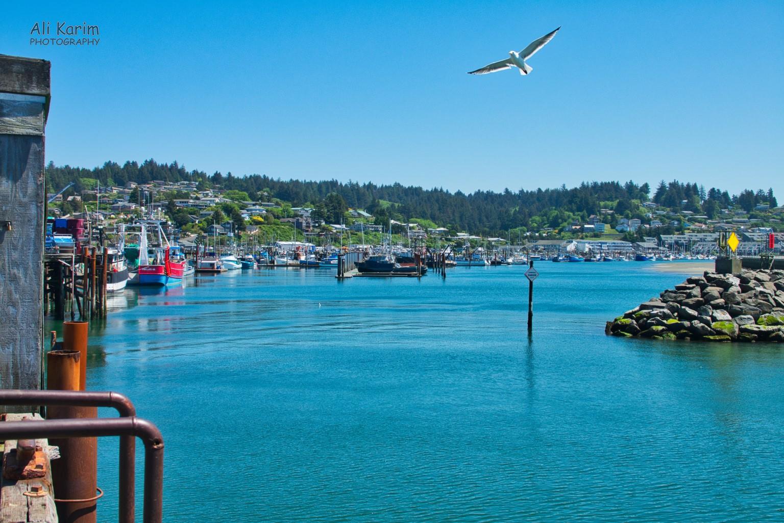 Newport Harbor Oregon Coast Hwy 101 Newport Harbor