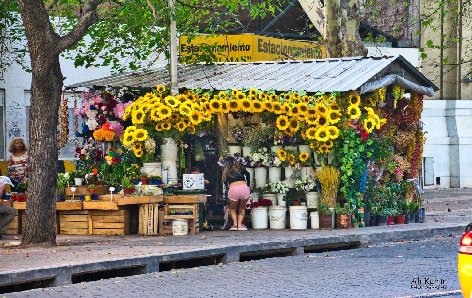 Flower shop Mendoza, Argentina Flower shop