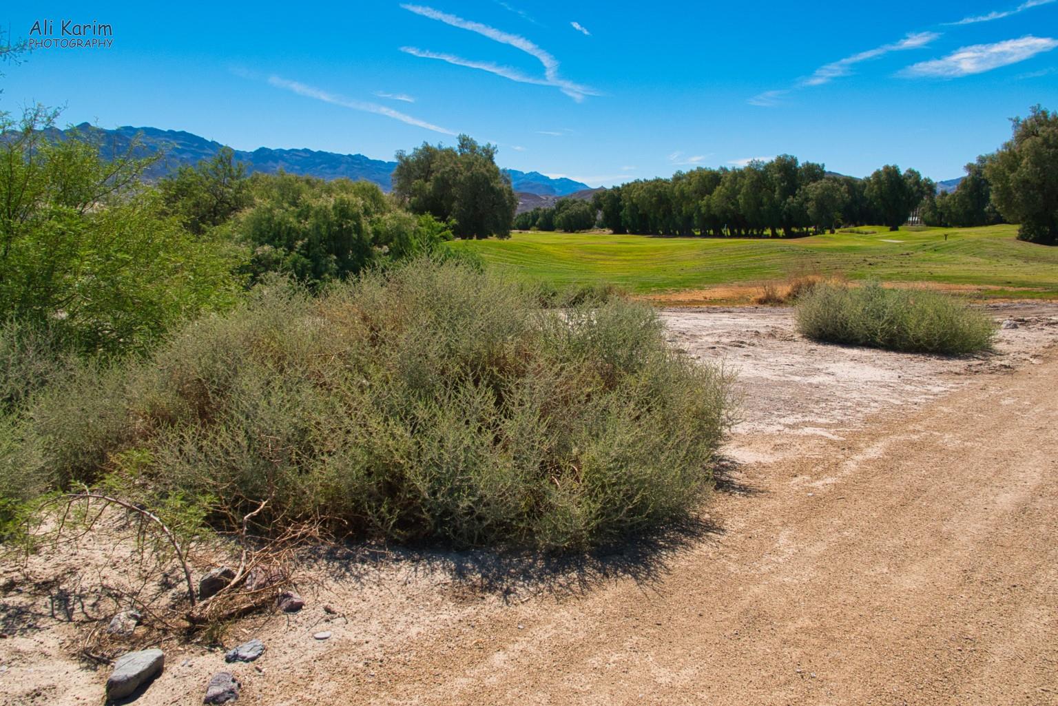 Golf course in the middle of Death Valley Death Valley National Park, June 2020, Golf course in the middle of Death Valley