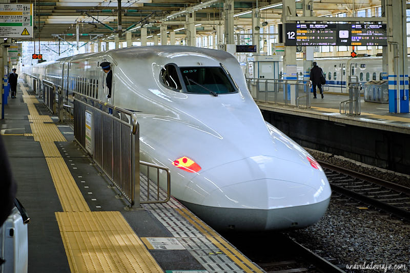 cuanto cuesta viajar a japón