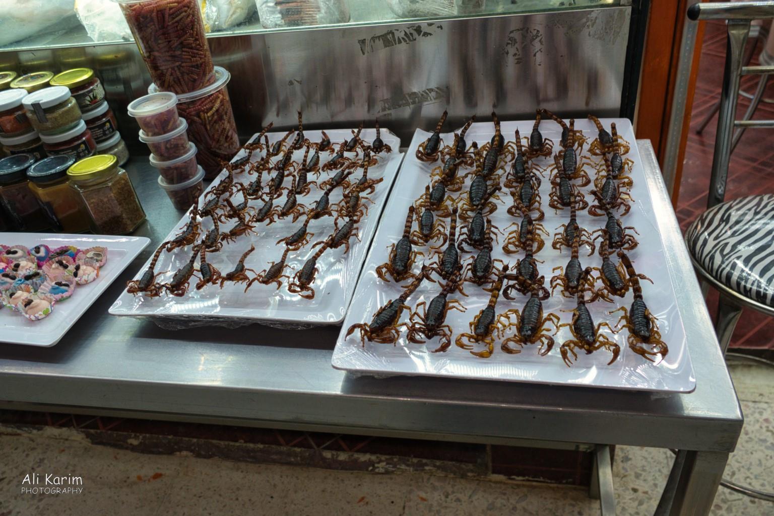Scorpions? Mexico City, Mexico, Dec 2019, Scorpions?
