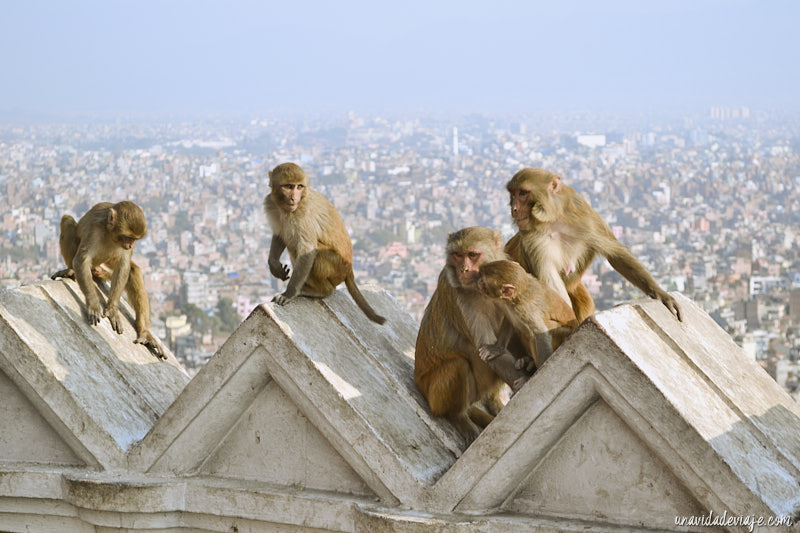 que ver en nepal