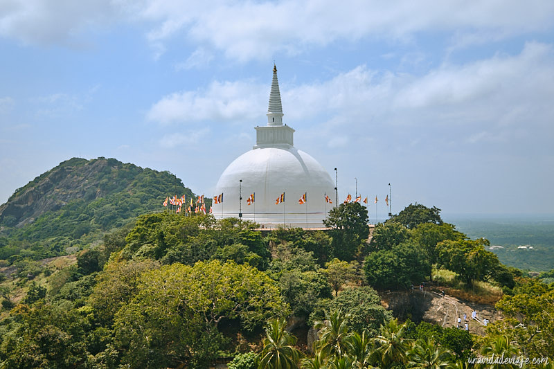 ruta sri lanka