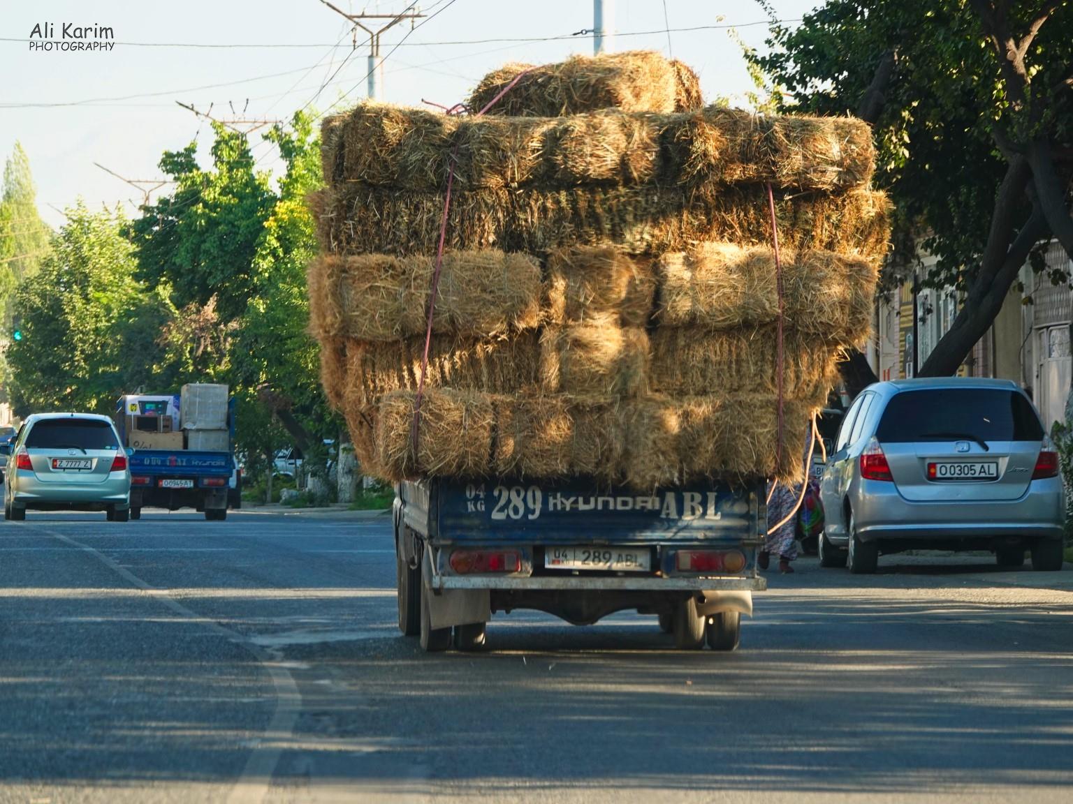 Traffic Silk Road 15: Osh, Kyrgyzstan Traffic