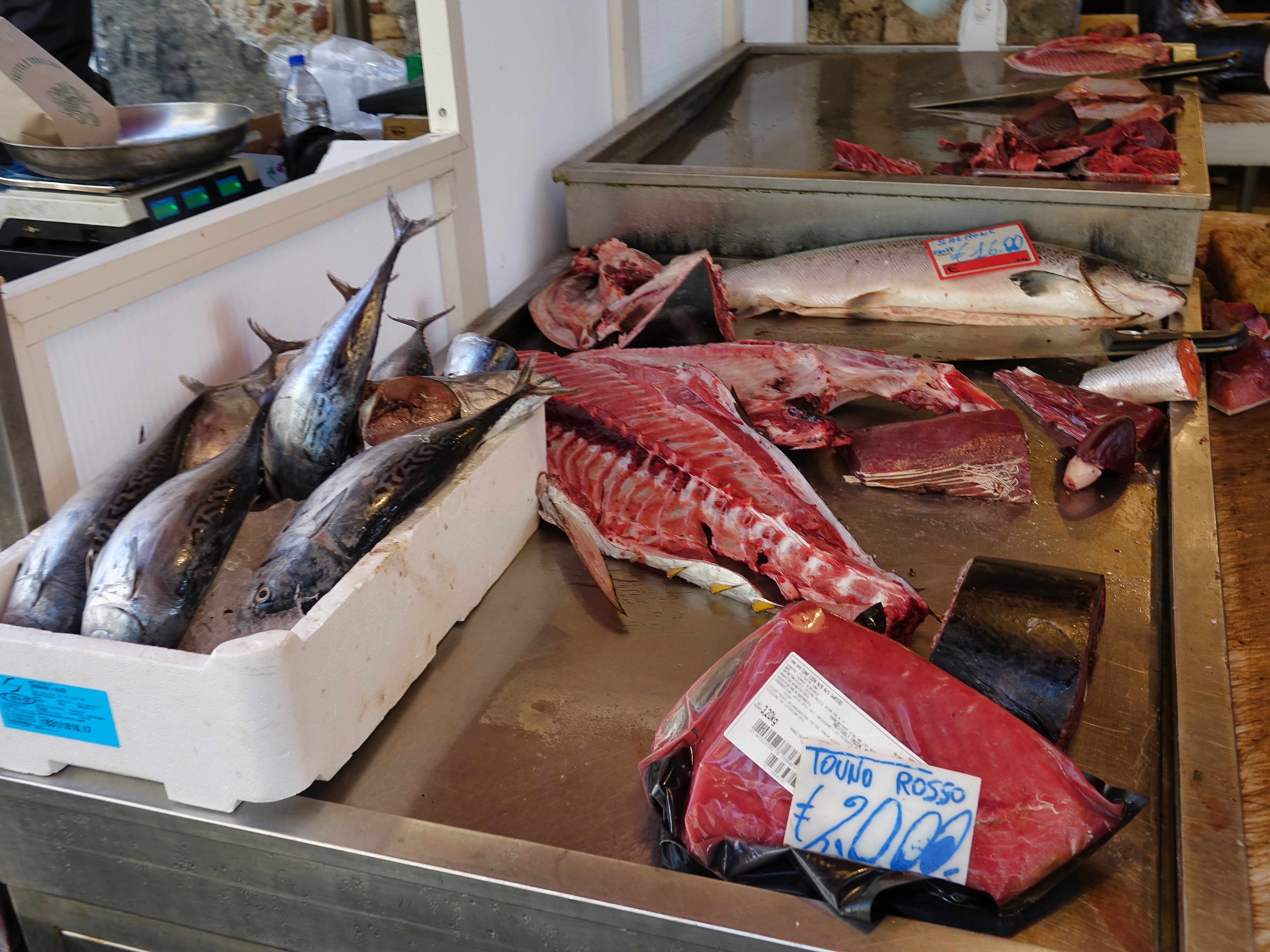 Fish for sale Fish for sale