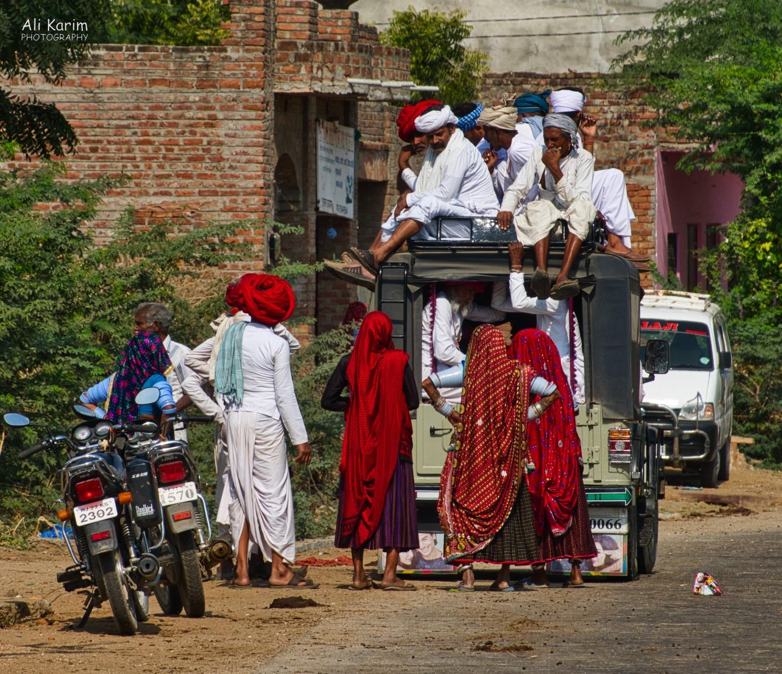Local transportation Leopards, Bera, Rajasthan Local transportation