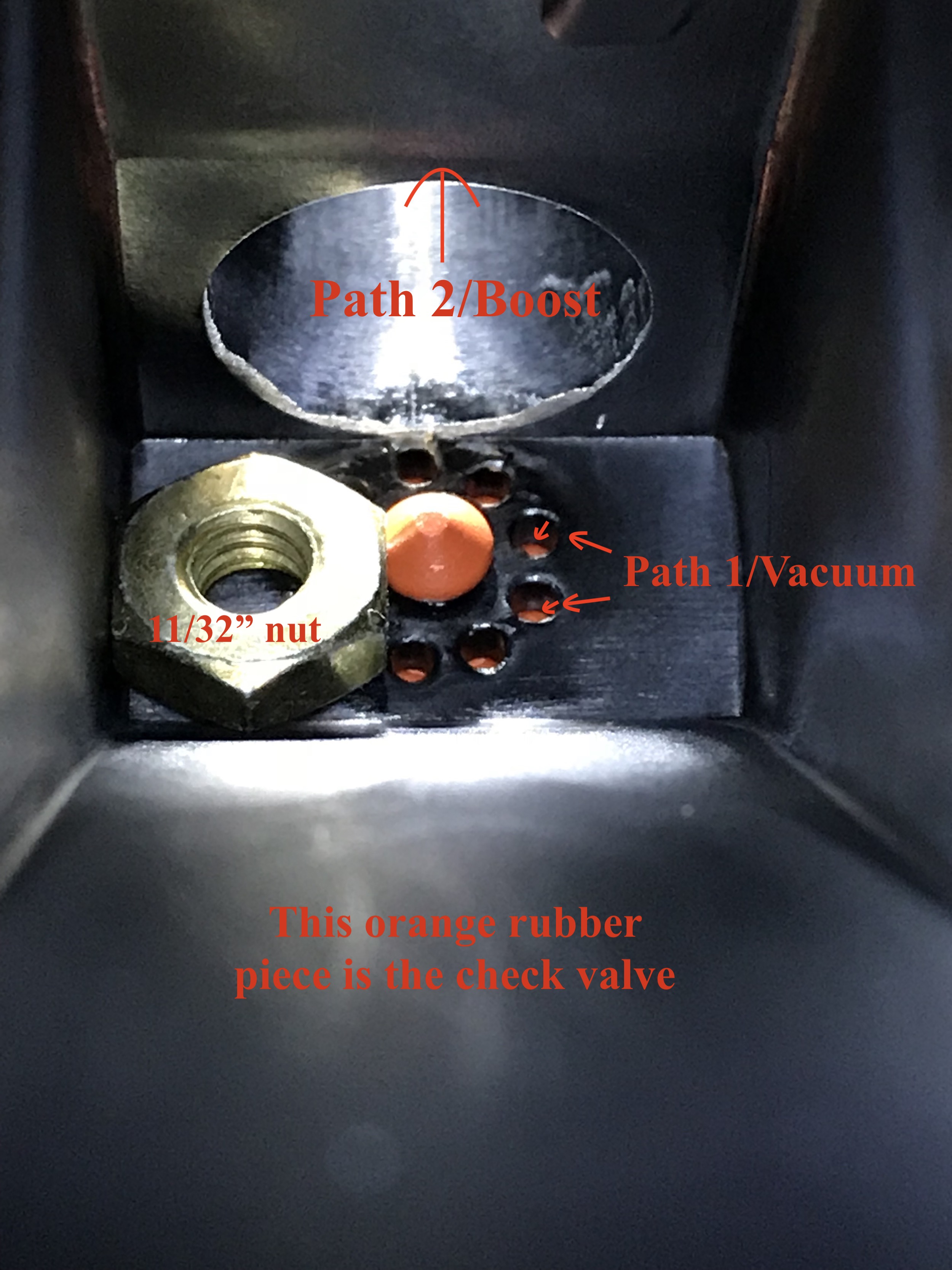 Figure1.JPG