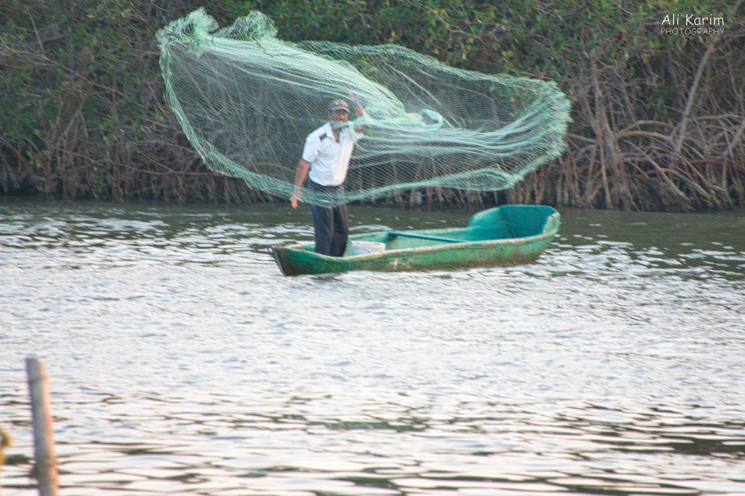 Local fisherman in the lagoon Veracruz, Mexico, December 2020, Local fisherman in the lagoon