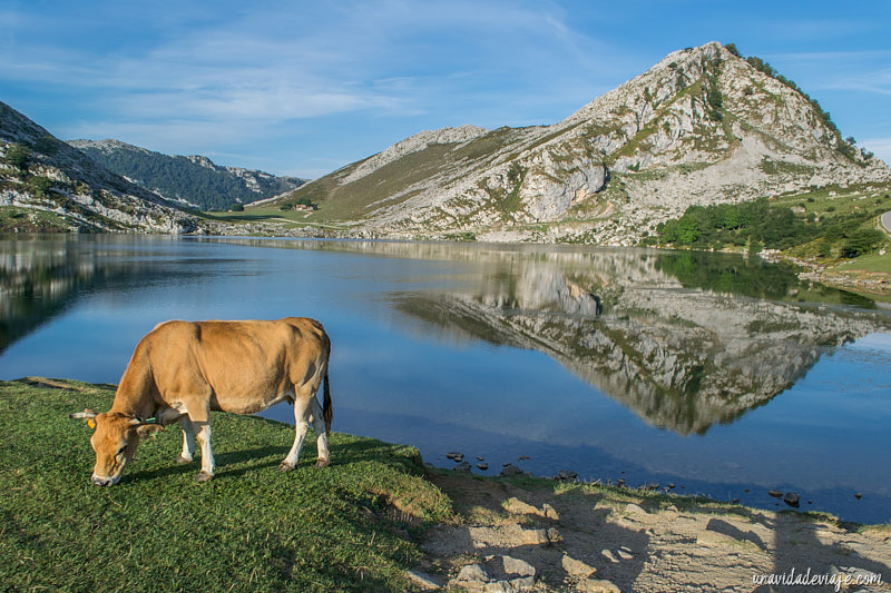 Cangas de Onís