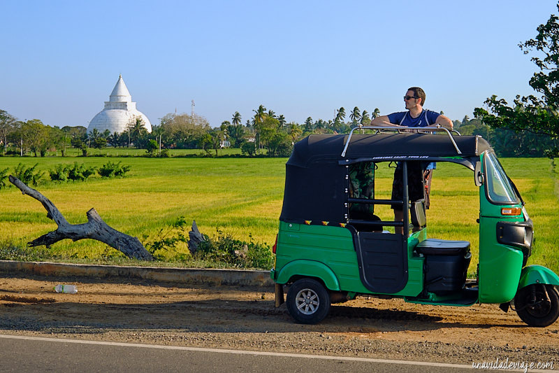 conducir tuk tuk en Sri Lanka