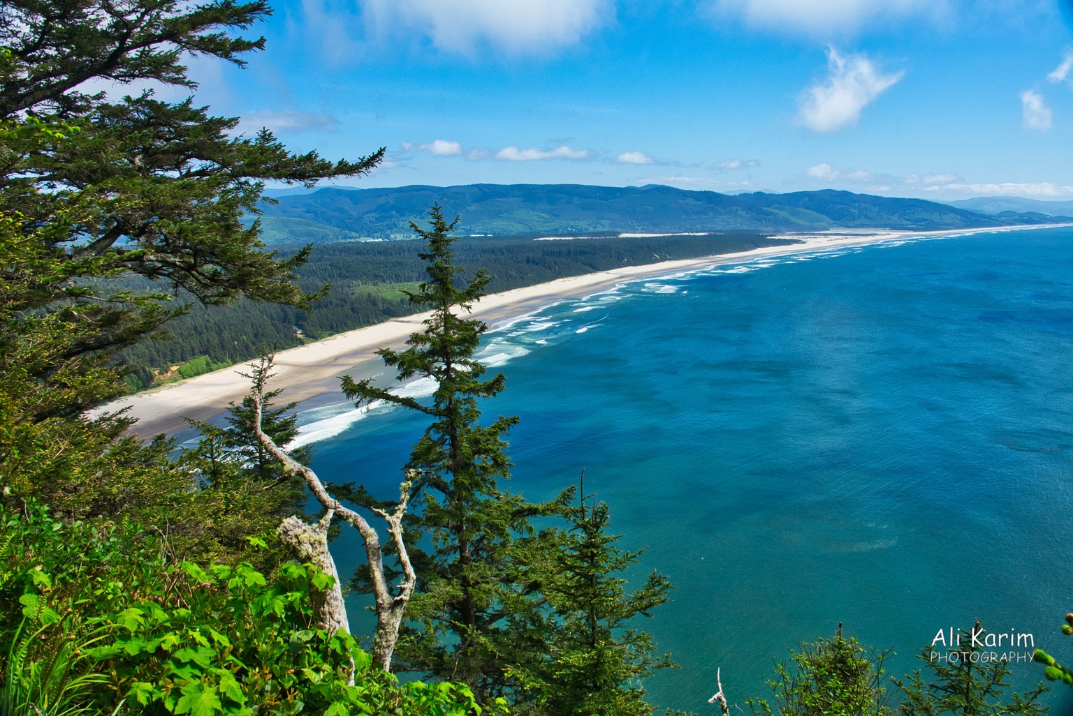 Oregon beaches Oregon Coast Hwy 101 Oregon beaches