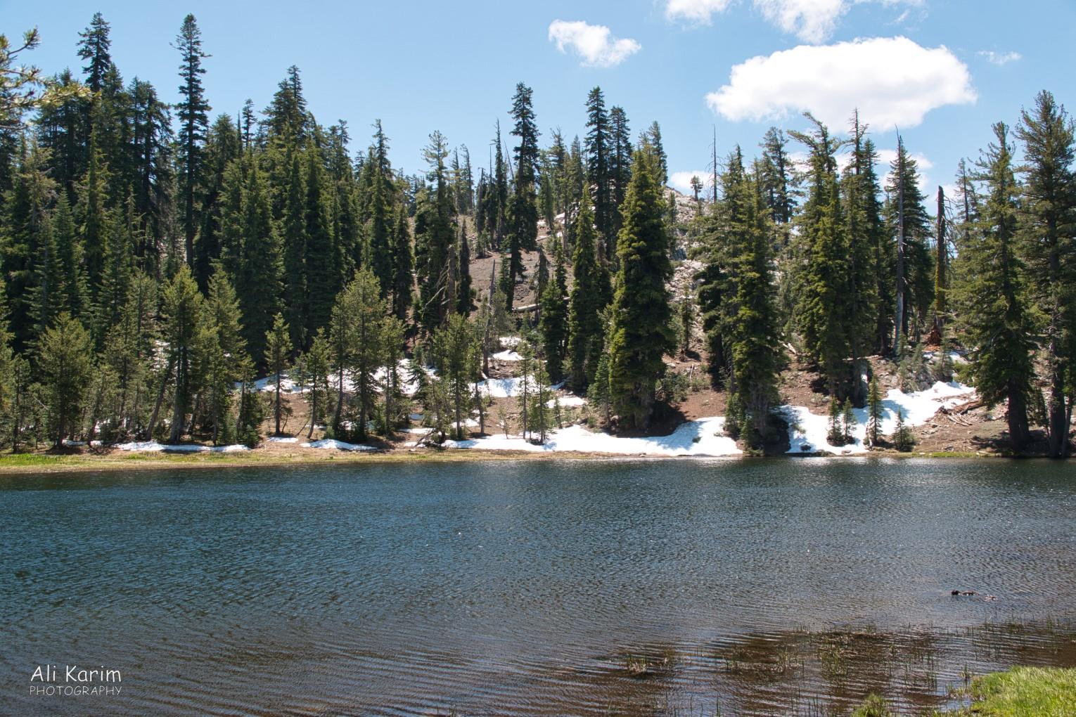 There were many small alpine lakes along the way. Snow was present above 7000ft Yosemite & Death Valley, June 2020, There were many small alpine lakes along the way. Snow was present above 7000ft