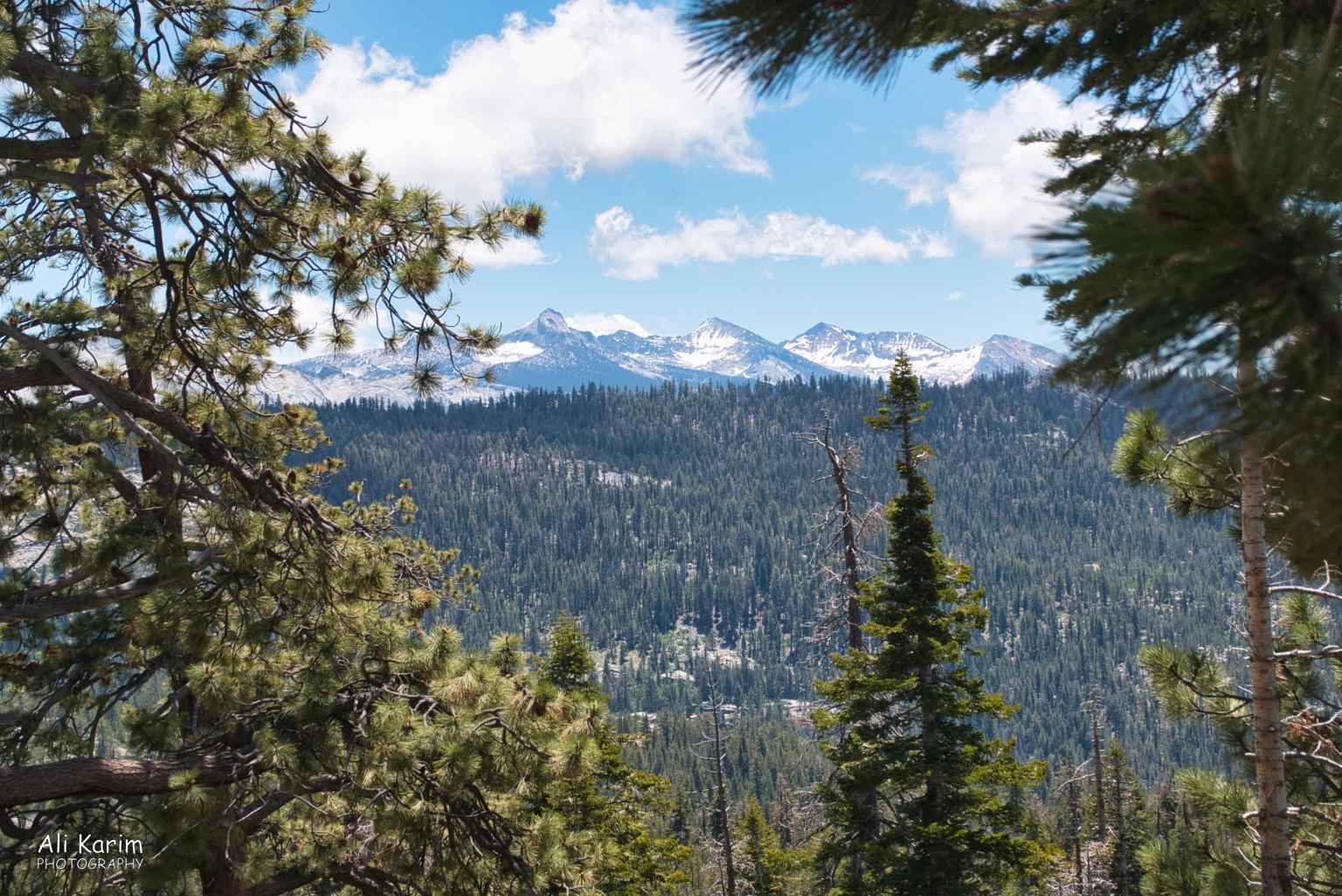 Snowcapped mountains and pine forests Yosemite to Death Valley, June 2020, Snowcapped mountains and pine forests