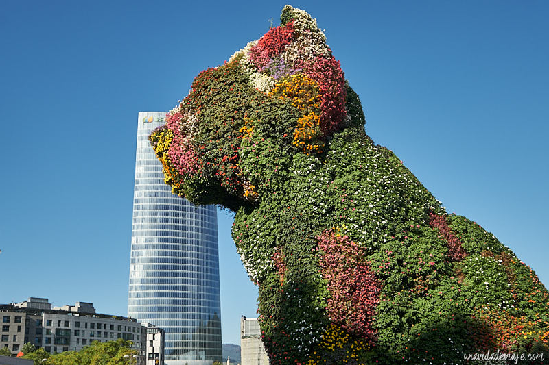 que ver en Bilbao en 1 dia