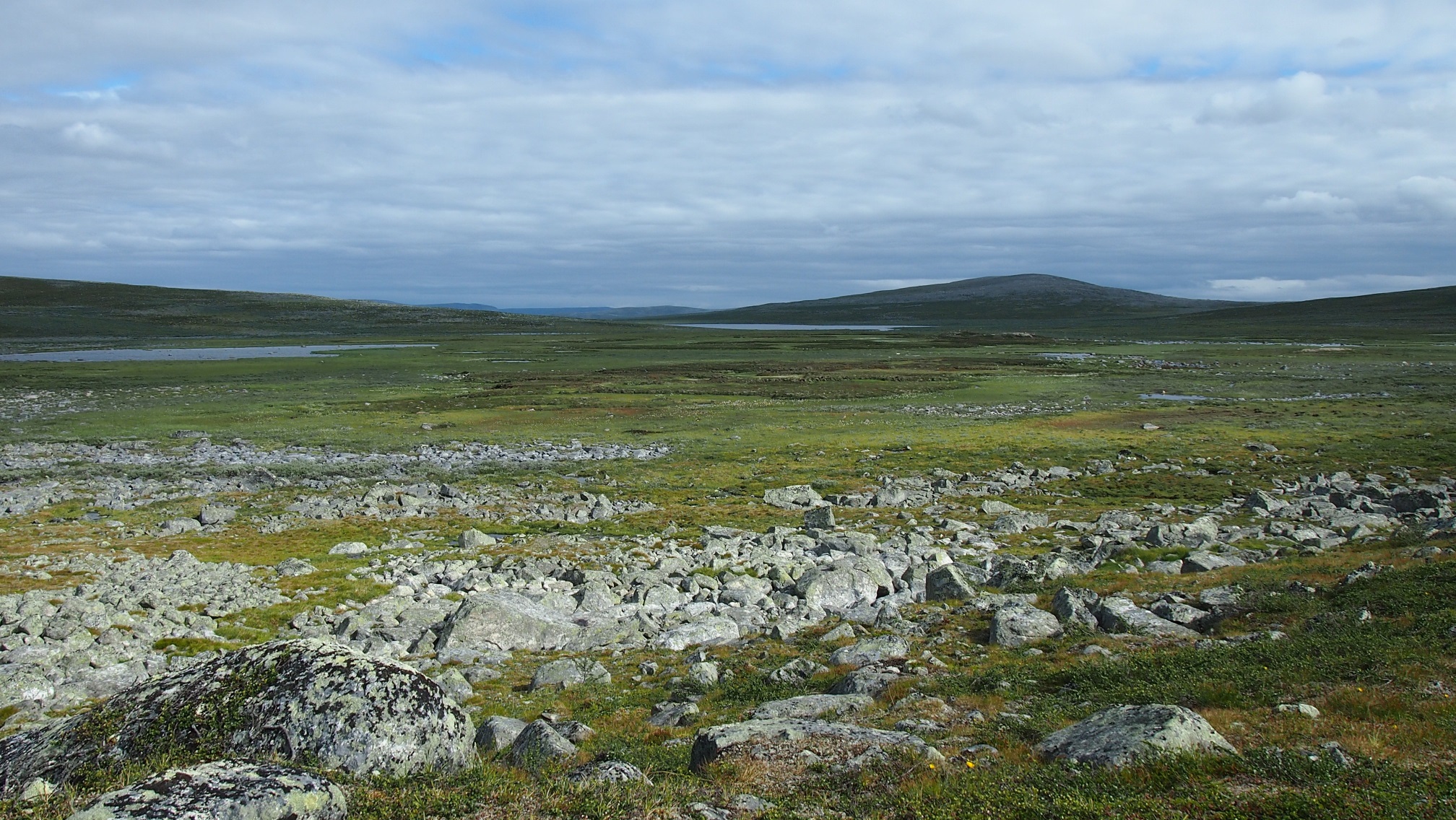 Palsasuon maisemaa.