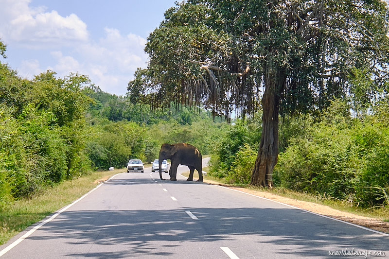 carretera B35 sri lanka