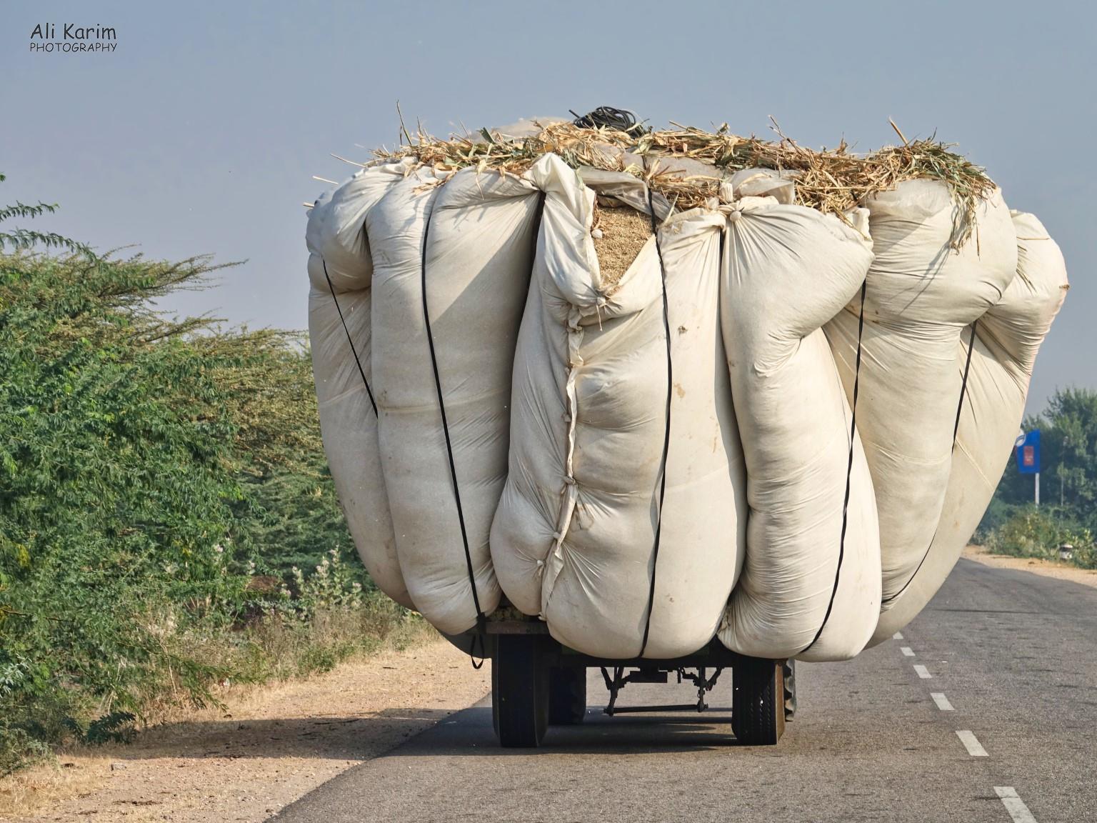 Transporting hay/grains Bikaner, Rajasthan Transporting hay/grains