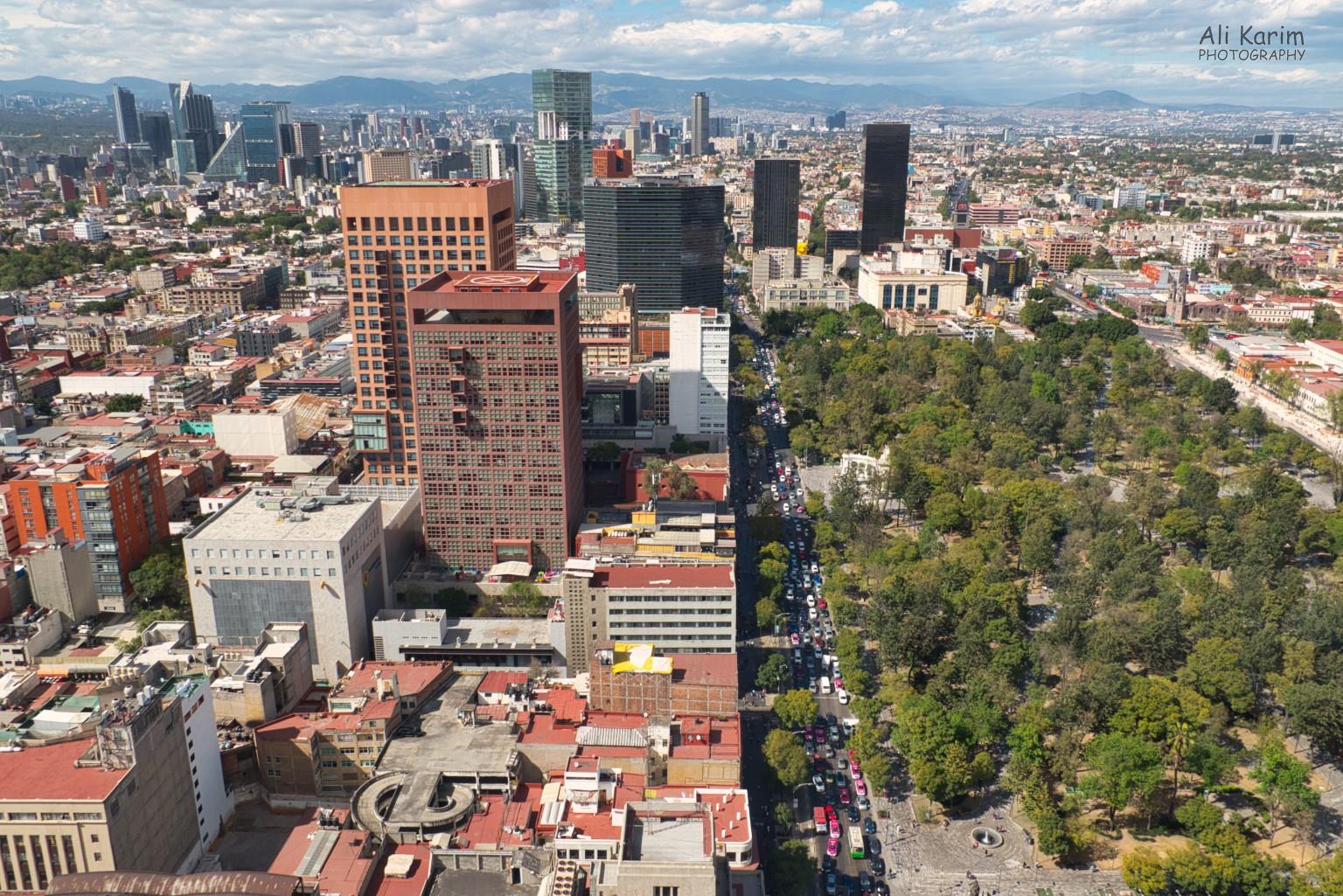 It’s not all concrete Mexico City, Mexico, Dec 2019, It’s not all concrete
