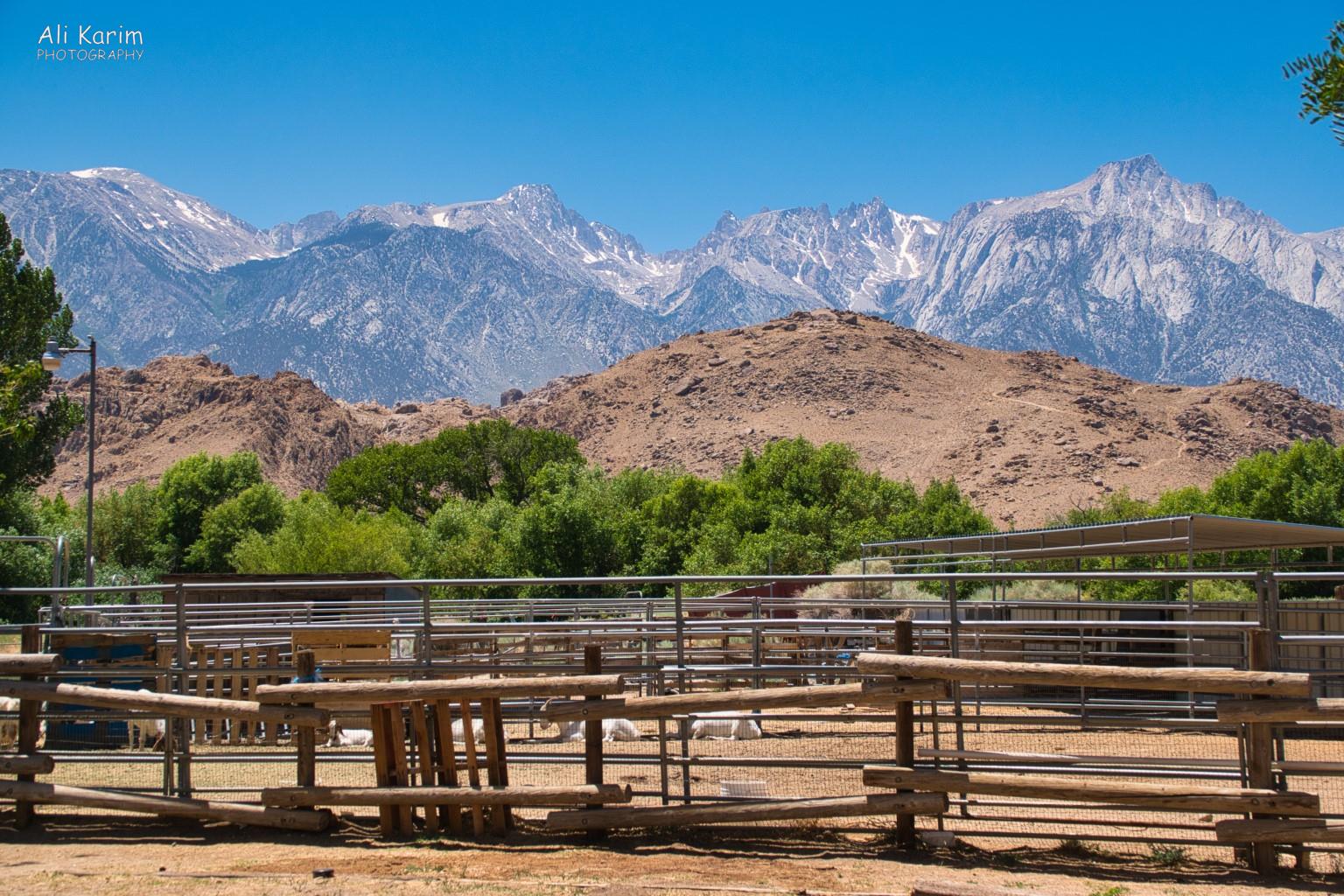 View of Mt Whitney & rural life along hwy 395 Yosemite to Death Valley, June 2020, View of Mt Whitney & rural life along hwy 395