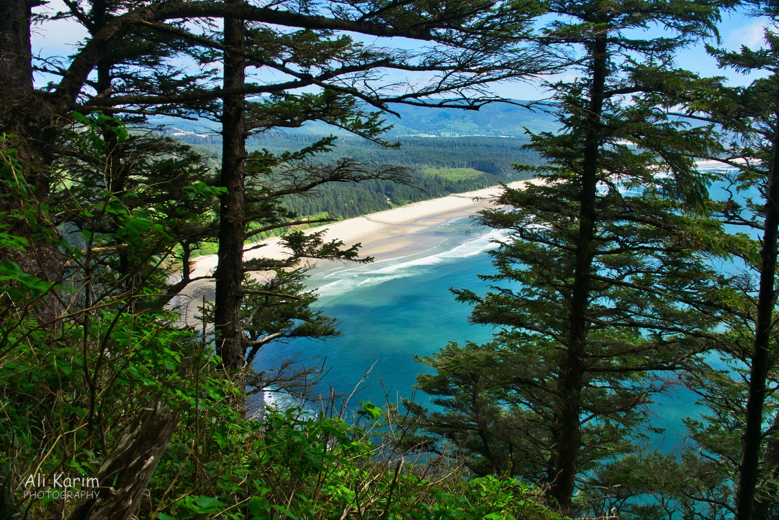 Oregon Coast Hwy 101 Beautiful coastline