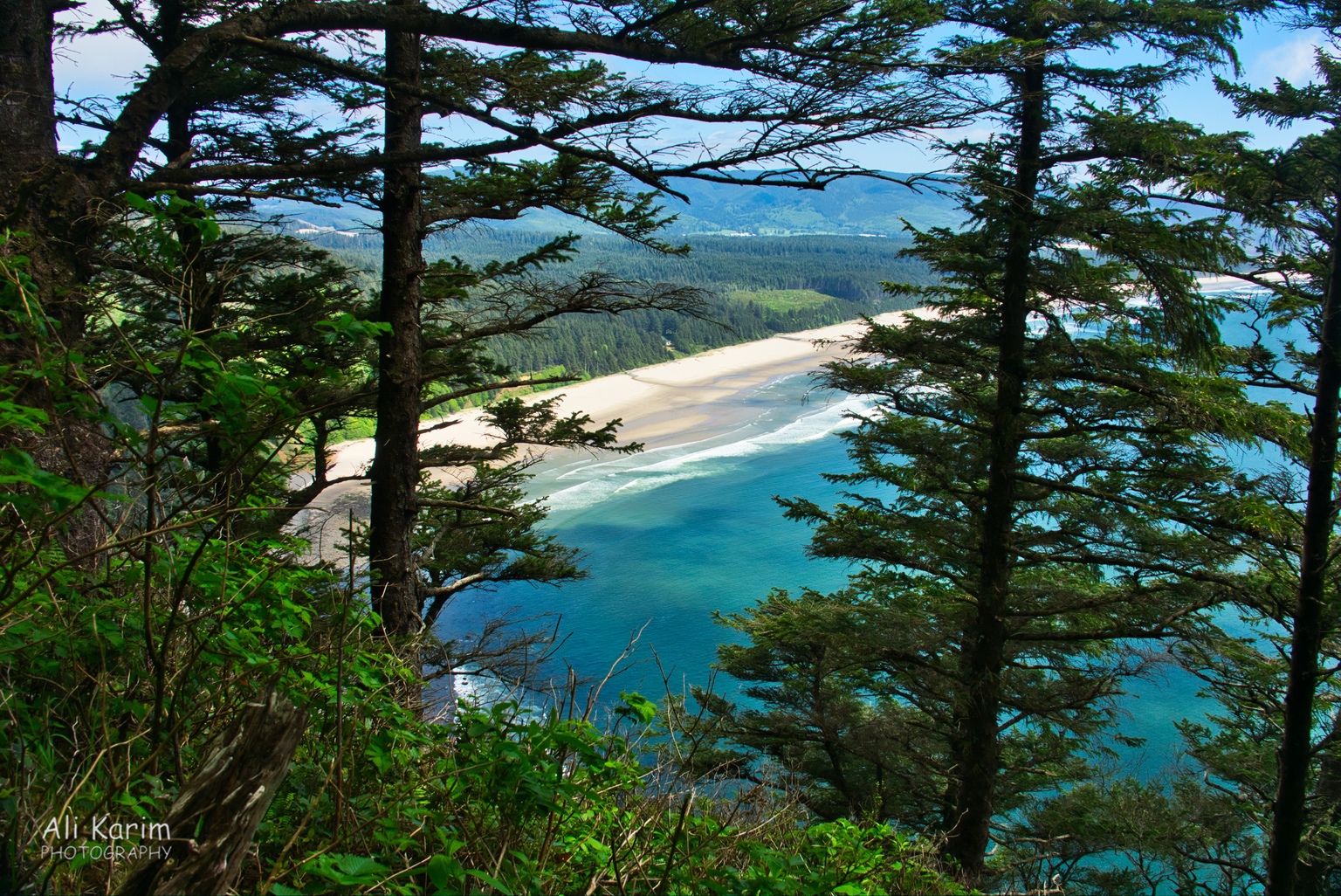 Beautiful coastline Oregon Coast Hwy 101 Beautiful coastline