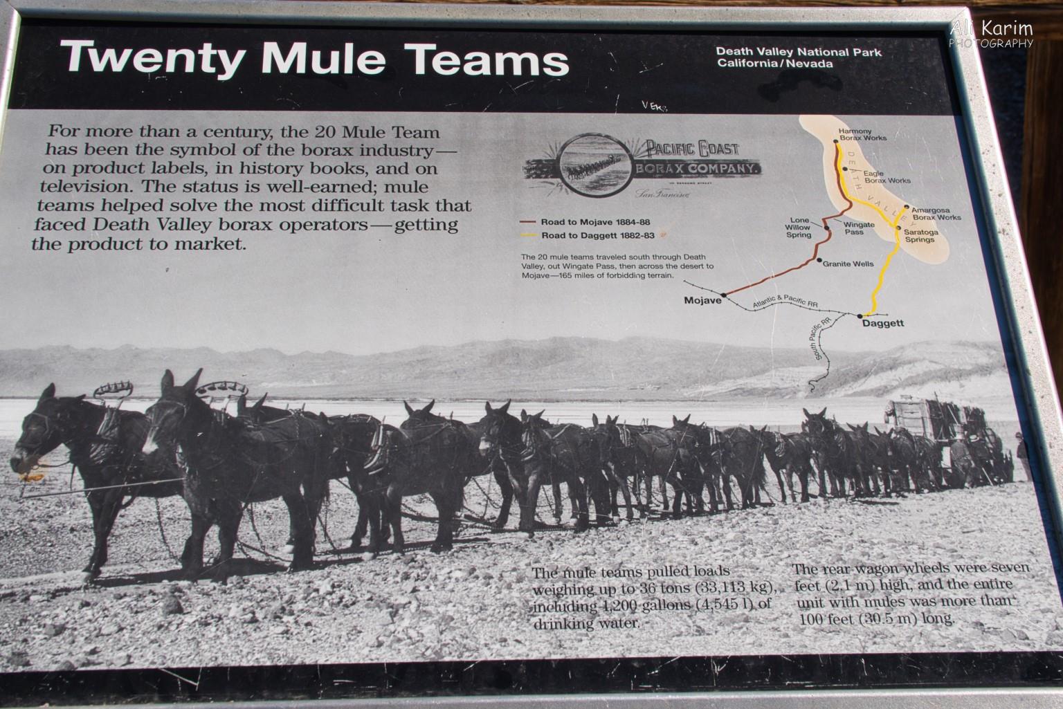 20 Mule Teams Death Valley National Park, June 2020, 20 Mule Teams