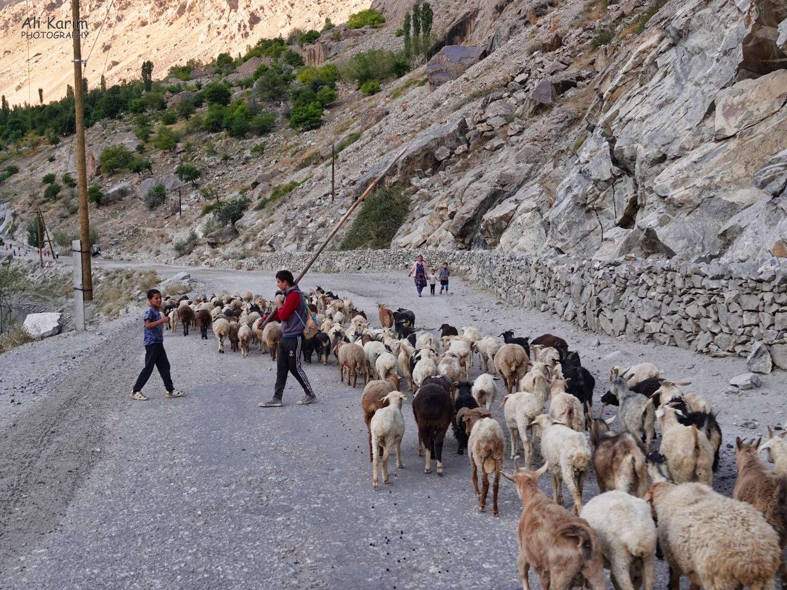 Traffic Jams along M41 Pamir Highway Dushanbe, Tajikistan Traffic Jams along M41 Pamir Highway