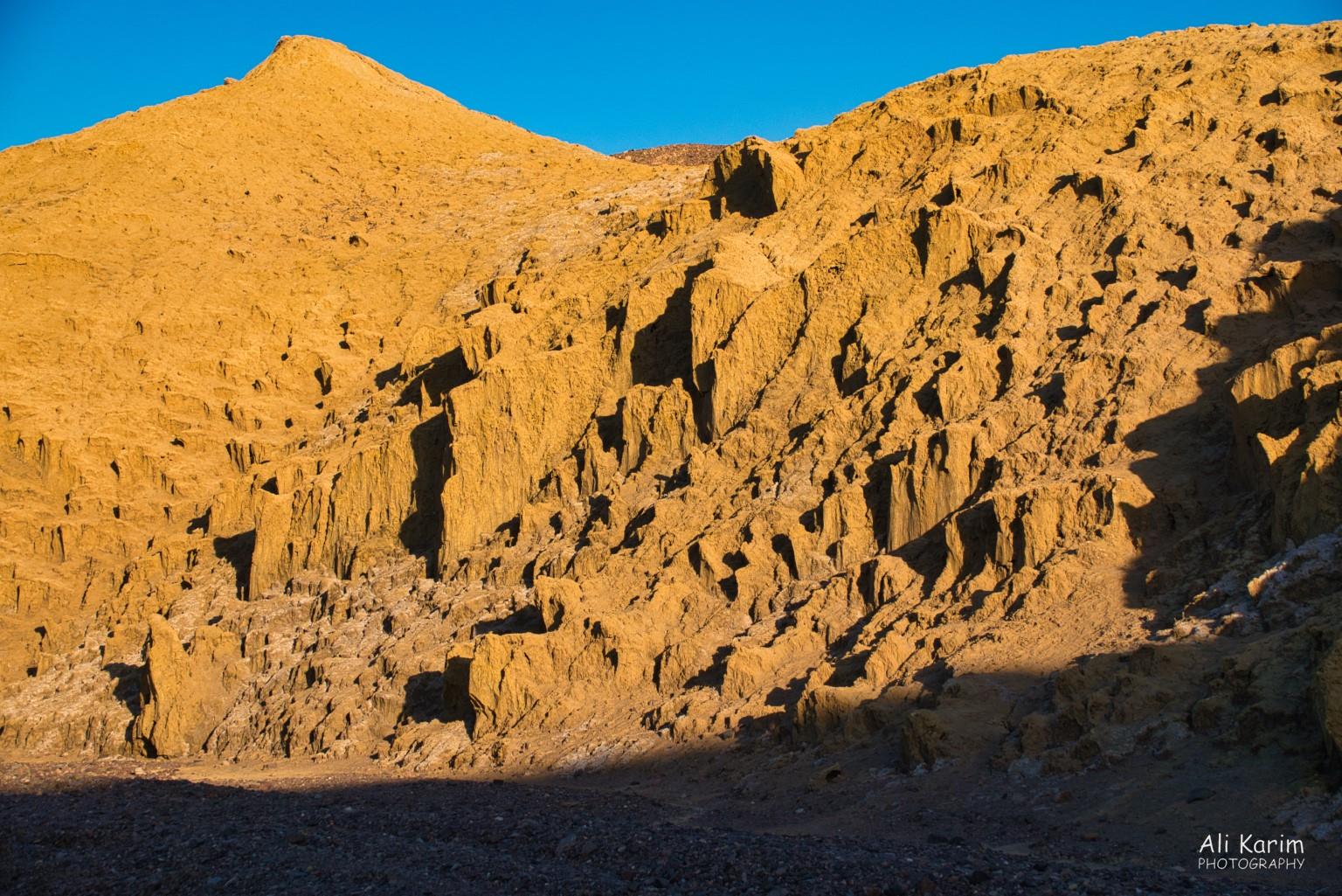 Wind sculpted yellow landscape Death Valley National Park, June 2020, Wind sculpted yellow landscape