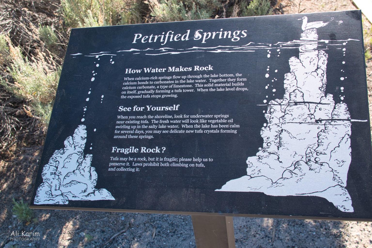 Yosemite to Death Valley, June 2020, Tufa towers explained