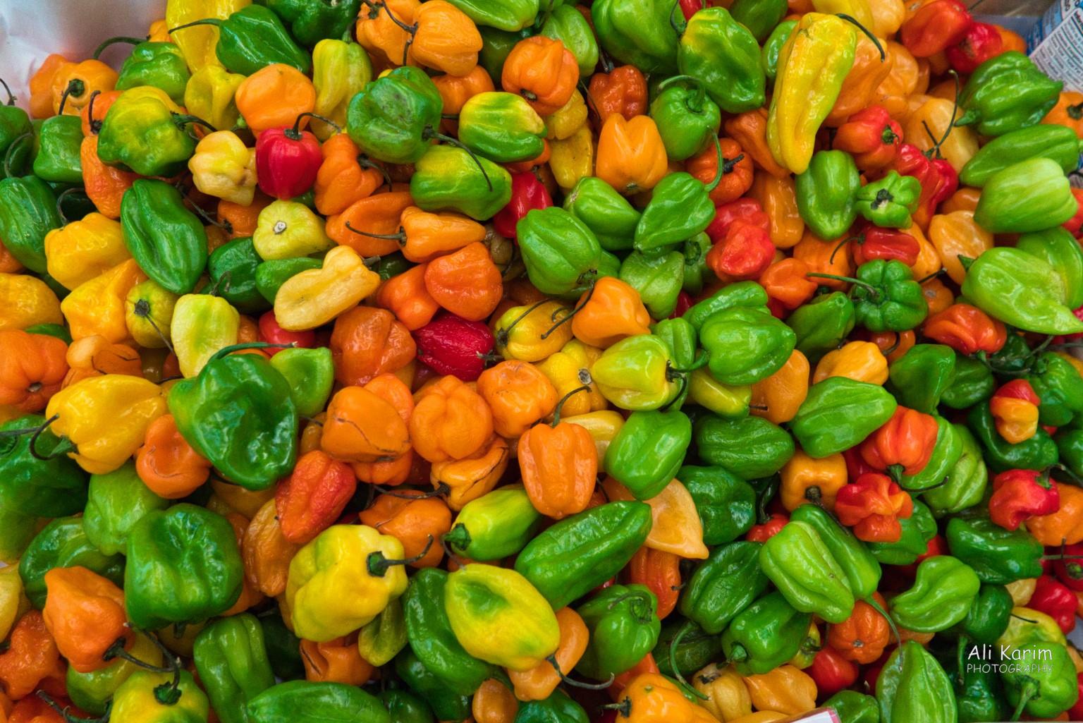 Habaneros anyone? I love the colors.. Mexico City, Mexico, Dec 2019, Habaneros anyone? I love the colors..