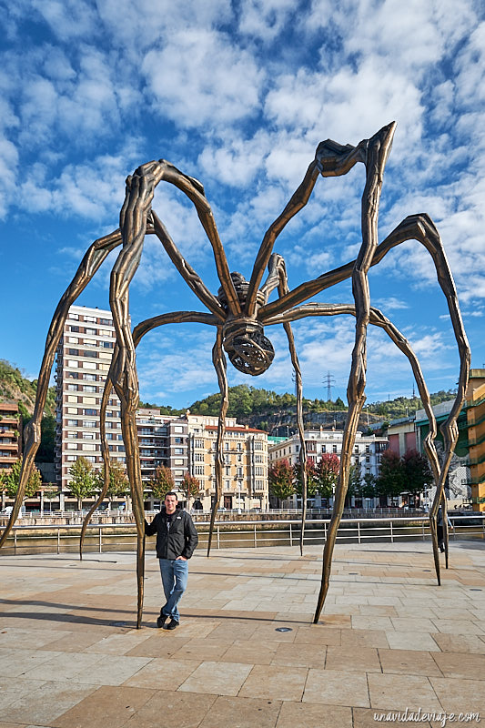 que ver en Bilbao en un dia
