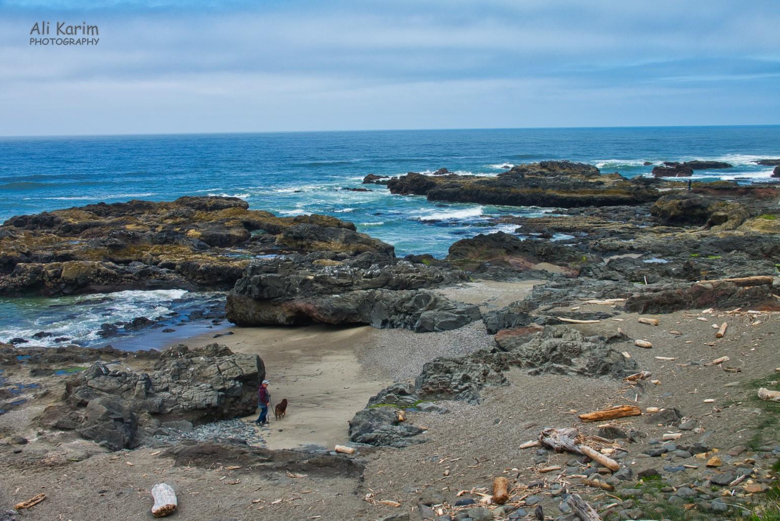 Yachats Oregon Coast Hwy 101 Yachats