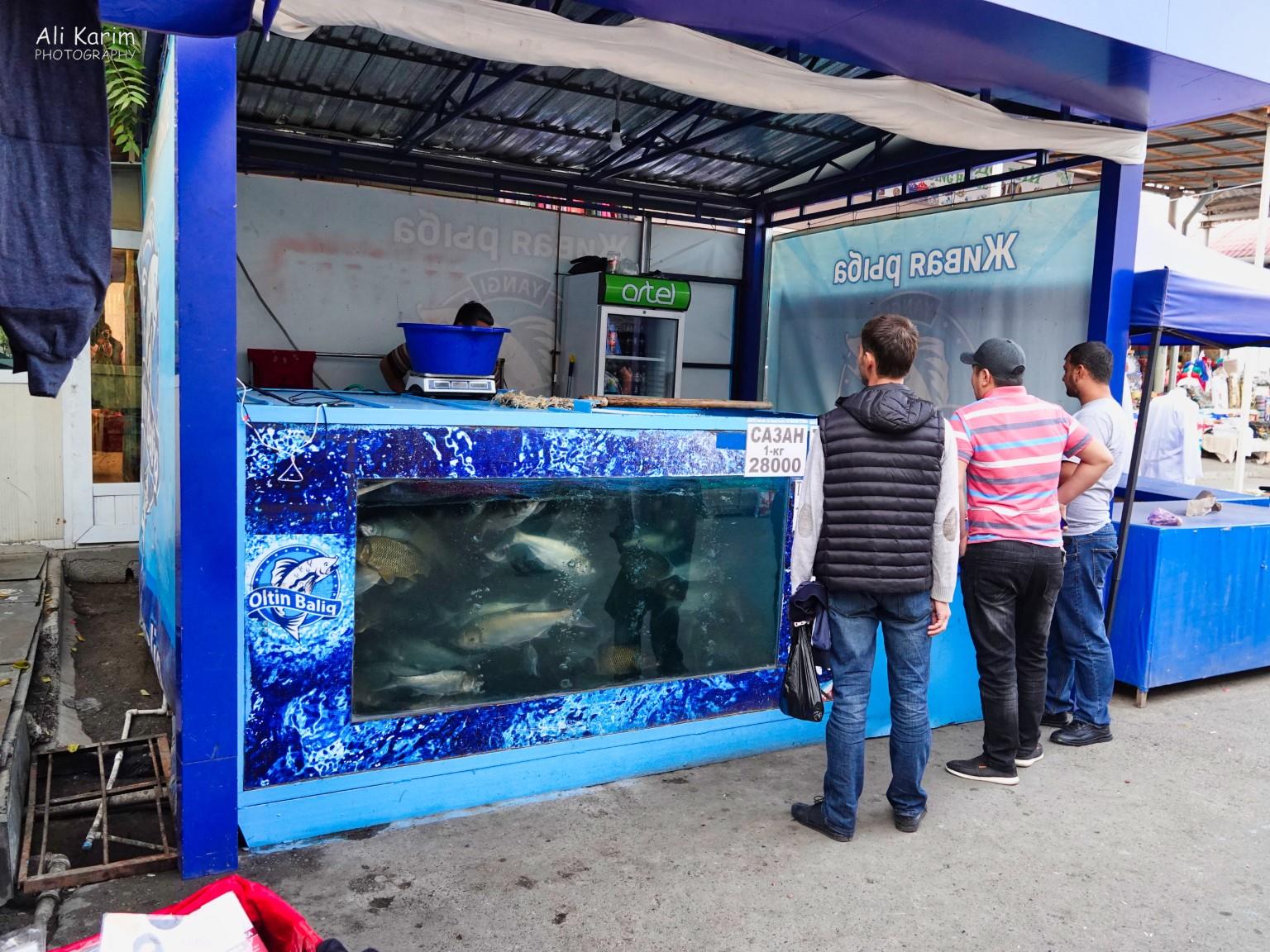 Tashkent, Oct 2019, Live fish for sale