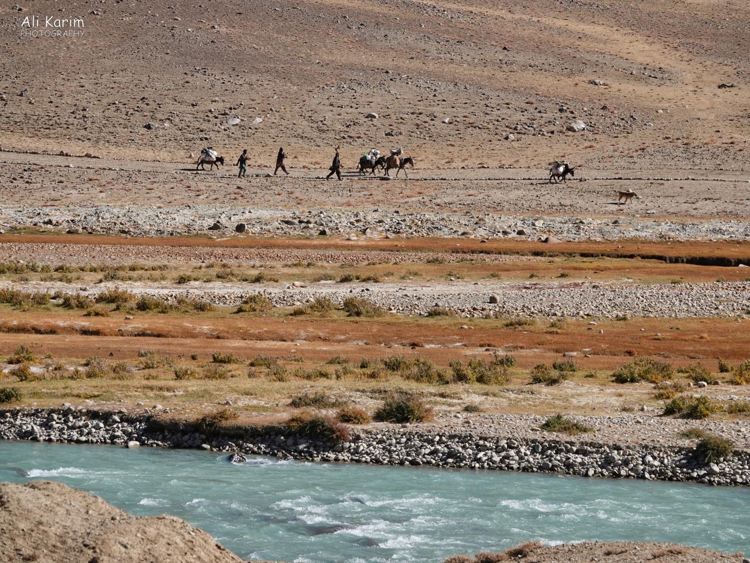 Caravan on the Afghan side, reminiscent of the Silk Road times Langar, Tajikistan, Caravan on the Afghan side, reminiscent of the Silk Road times