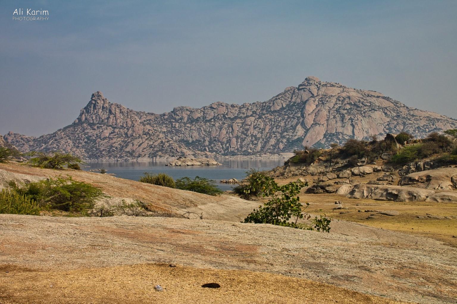 Area around the Jawai Lake reservoir Leopards, Bera, Rajasthan Area around the Jawai Lake reservoir
